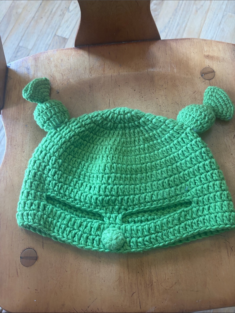 SHEIN Green Crochet Knit Beanie with Pom Ear Accents